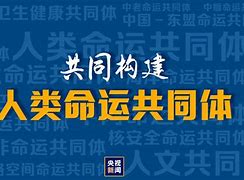 推动共建中泰命运共同体(在融入国家发展大局中实现更好发展)